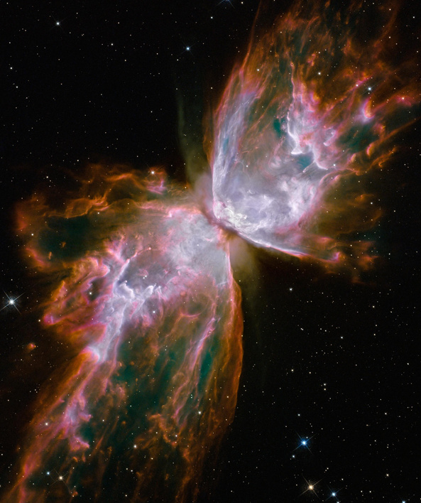 Butterfly Nebula in the Galaxy